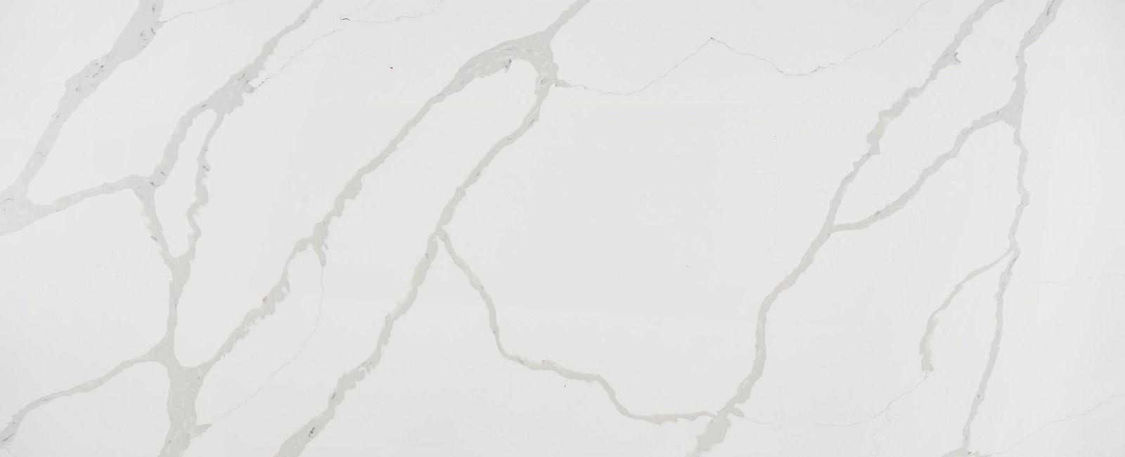 Calacatta Divine — available at X Cabinet & Stone Flagstaff