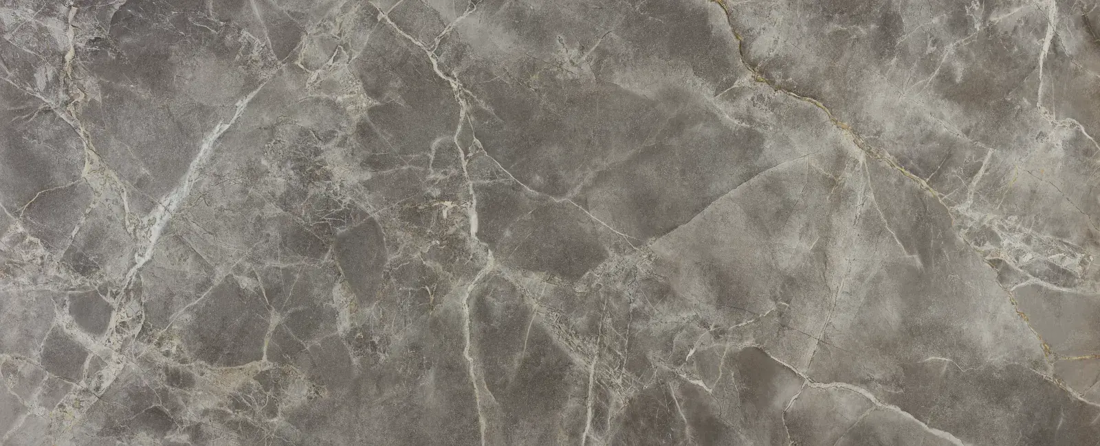 DT-Marvel Fior Di Bosco Polished — available at X Cabinet & Stone Flagstaff