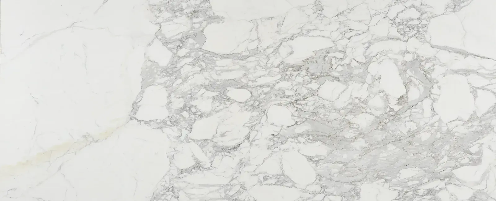 Calacatta Betogli Extra Honed — available at X Cabinet & Stone Flagstaff