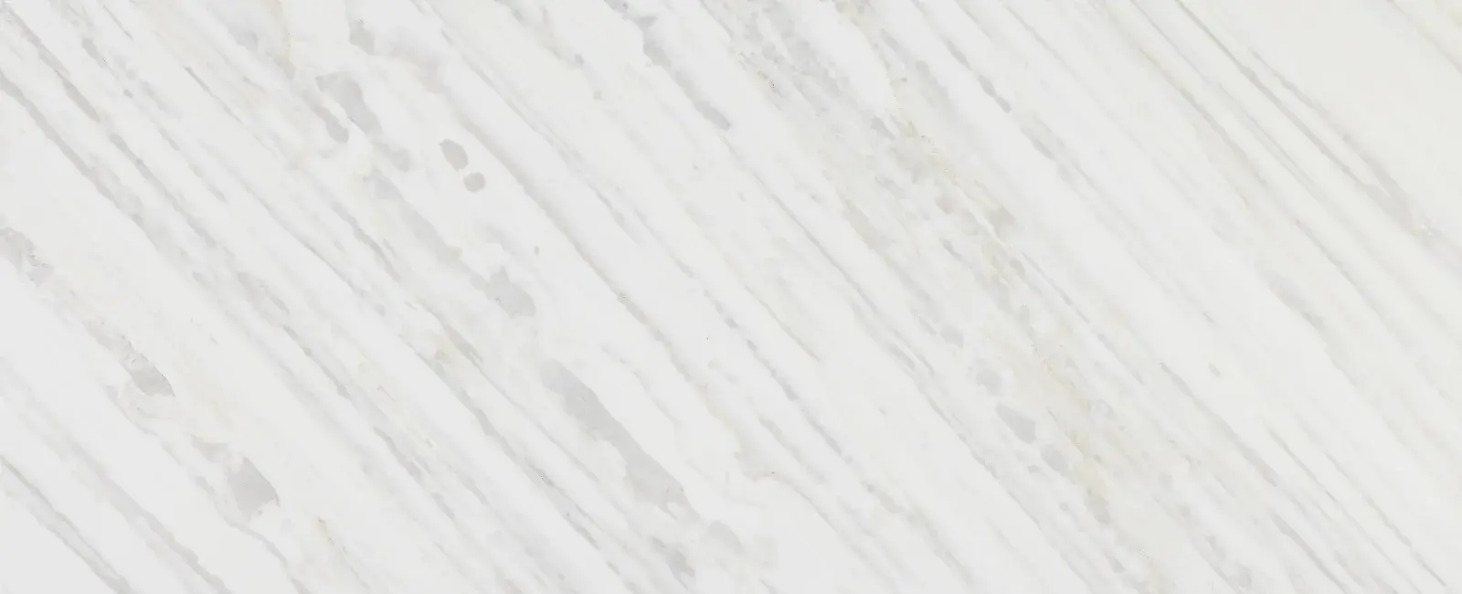 Calacatta Gold — available at X Cabinet & Stone Flagstaff